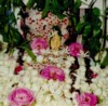 Krishna_flowers.jpg